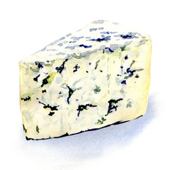 delicious mold cheese on a white background