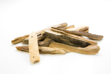 Malayan Spurge Tree on white backgroun