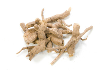 Aristolochia sp on white background