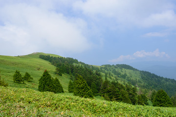 Fototapeta na wymiar Fujimidai Highland in Nagano/Gifu, Japan