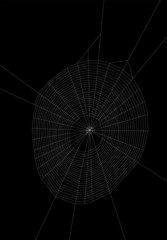 large isolated on black spider web