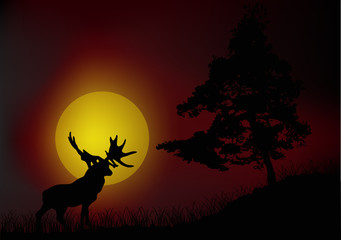 Fototapeta na wymiar pine and old deer silhouettes at red sunset