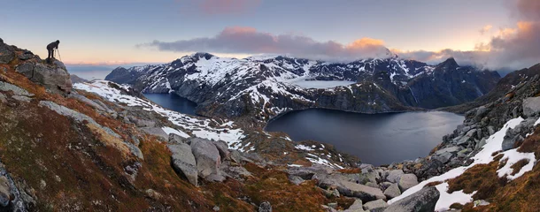 Rolgordijnen Mountain panorama in Norway, Lofoten - Moskenesoya © TTstudio