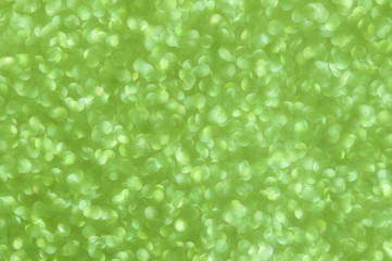 defocused abstract green lights background