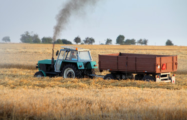 Tractor on wheat field