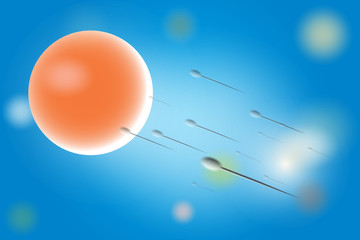 sperm and egg in colorful background