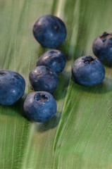Blueberries