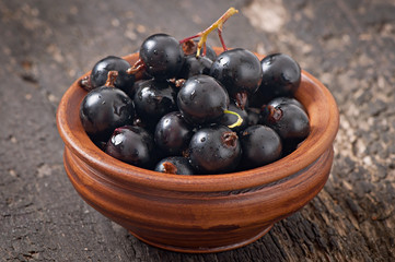 Black currant in a ceramic bowl on wooden background