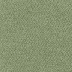 green textile background for design-works