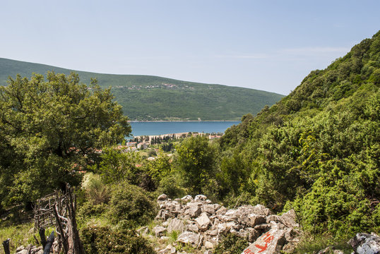 Wild coast