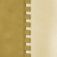 bicolor  leather background