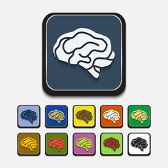 Stylish colored icons, brain