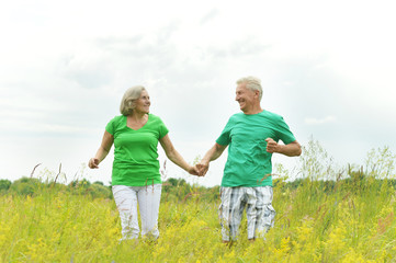 Happy senior couple in summer field