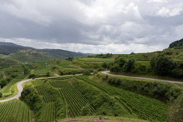 Naklejka premium Kaiserstuhl 2429