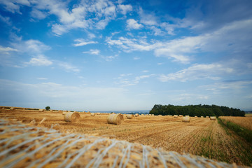 Pole po żniwach © barytek