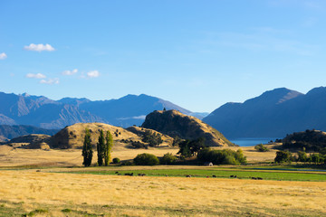 Fototapeta premium Picturesque landscape