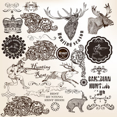 Set of vector decorative hunting and floral elements in vintage