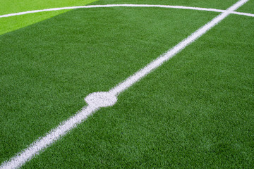 Fototapeta na wymiar soccer field grass