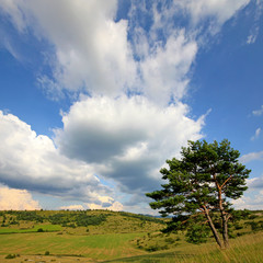 France - Lanuejols