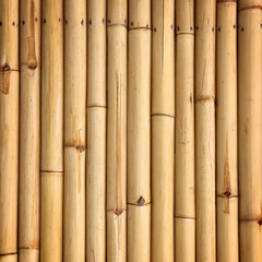 bamboo fence background