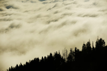Alpine sea of clouds