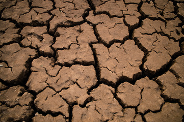 dry