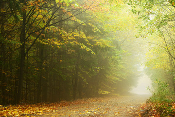Fototapeta na wymiar Mountain road in autumn colours