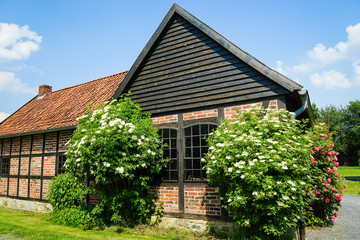 Bilder und Videos suchen: holzgiebel