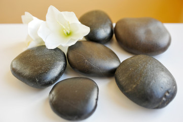 Hot Stone Still-Life