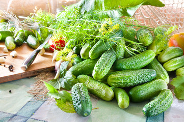 cucumbers on the table with spices