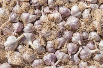 garlic laying as a background