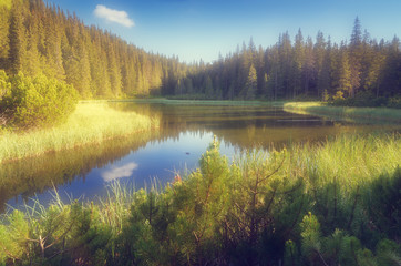 Fototapeta na wymiar Lake in a mountain forest