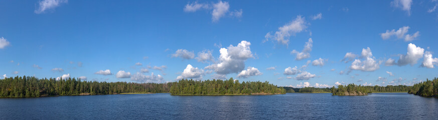 Obraz premium wood lake