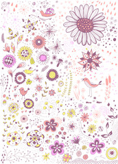 Fototapeta premium Hand -drawn decorative elements for design