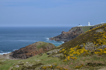 Fototapeta na wymiar Pendeen Lighthouse