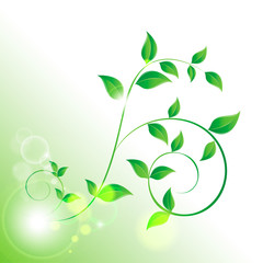 branch with fresh green leaves