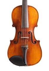 violin