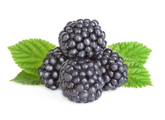 Blackberries isolated on white background.