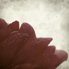 textured old paper background