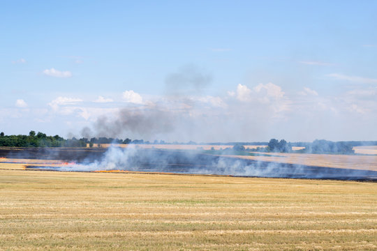 fire on a rural field