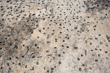 Bullet damages on a German bunker from the Second World War