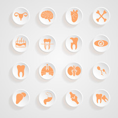 Body Icons button shadows  vector set
