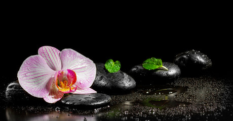 Obrazy na Plexi  Kwiat orchidei z liśćmi mięty i kamieniami zen na czarnym tle