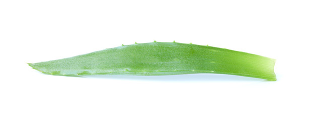 Aloe Vera Leaf Isolated on White