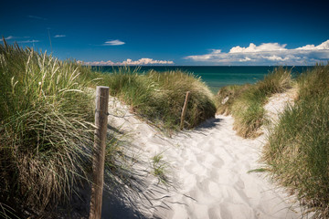 Dunes at the beach of Darß the Baltic Sea, Mecklenburg-Western