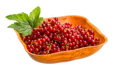 Red currant