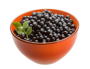 Blueberry