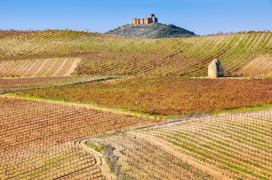 Vi&ntilde;edo en oto&ntilde;o junto al castillo de Davalillo, La Rioja