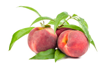 Fototapeta na wymiar peaches isolated