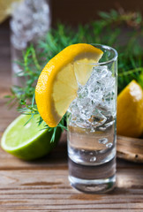 Gin with lemon